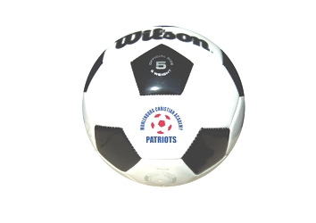 Wilson Premium Synthetic Leather Soccer Ball