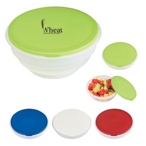 Collapsible Big Lunch Bowl - 