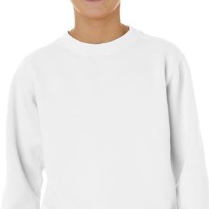  9755 Chouinard Youth Crewneck Sweatshirt  - 9755-White DirDye