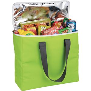 Arctic Zone&reg; 30-Can Foldable Freezer Tote