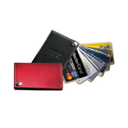 Fan-Out Business/Credit Card Holder with Contrast Stitching