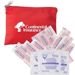 Economy First Aid Kit - No internal meds